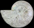Silver Iridescent Ammonite - Madagascar #61502-1